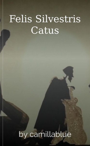 Felis Silvestris Catus