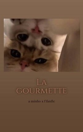 La gourmette (stray kids lee know ff)