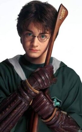 El secreto de Harry 