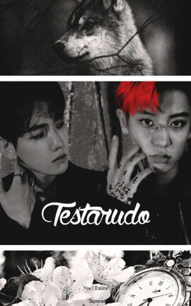 Testarudo