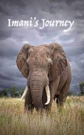 Imani's Journey