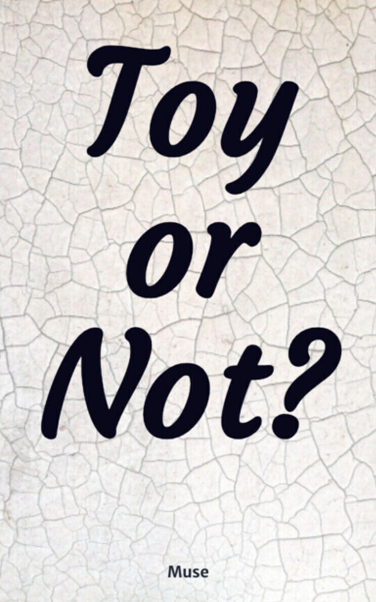 Toy or Not?