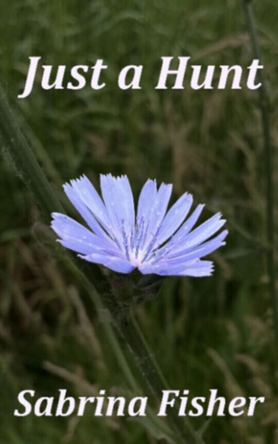 Just a Hunt
