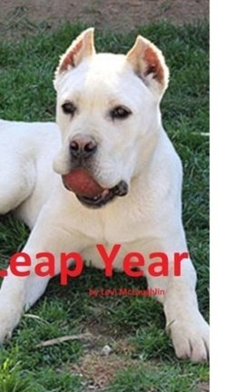 Leap Year