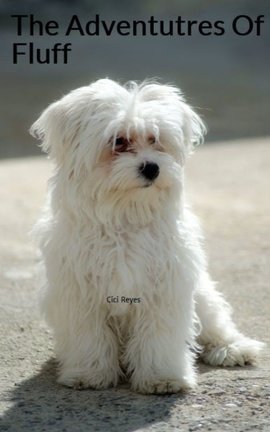 The Adventutres Of Fluff