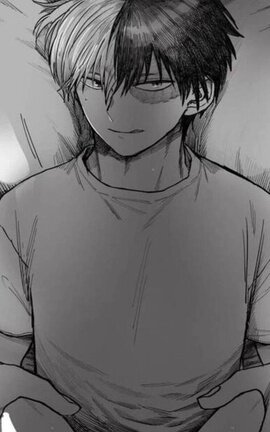 VECINOS — Shōto Todoroki x Male reader