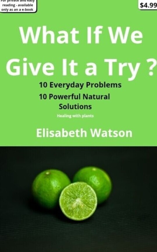 What If We Give It a Try?