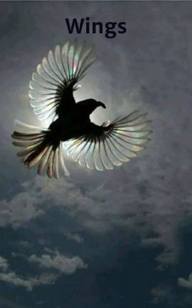 Wings