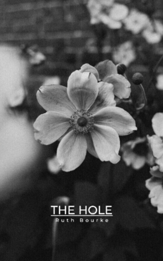The Hole