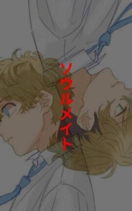 ソウルメイト...(ALMAS GEMELAS)