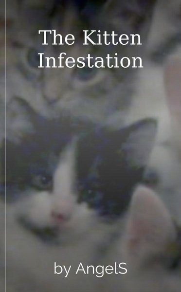 The Kitten Infestation