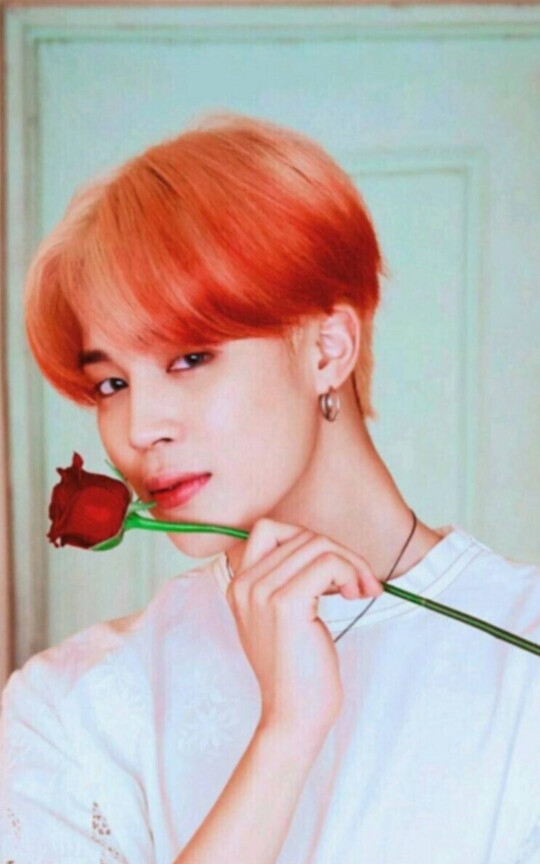 Roses For You (VMIN)
