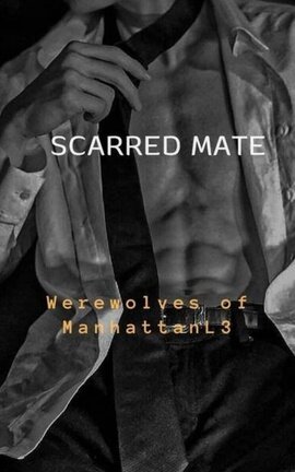 🐺SCARRED MATE🐺 JiKook L3
