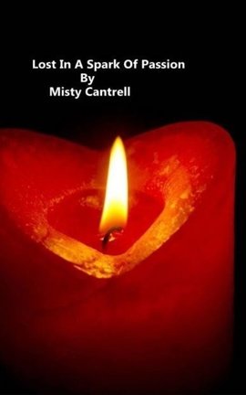 Lost In A Spark Of Passion