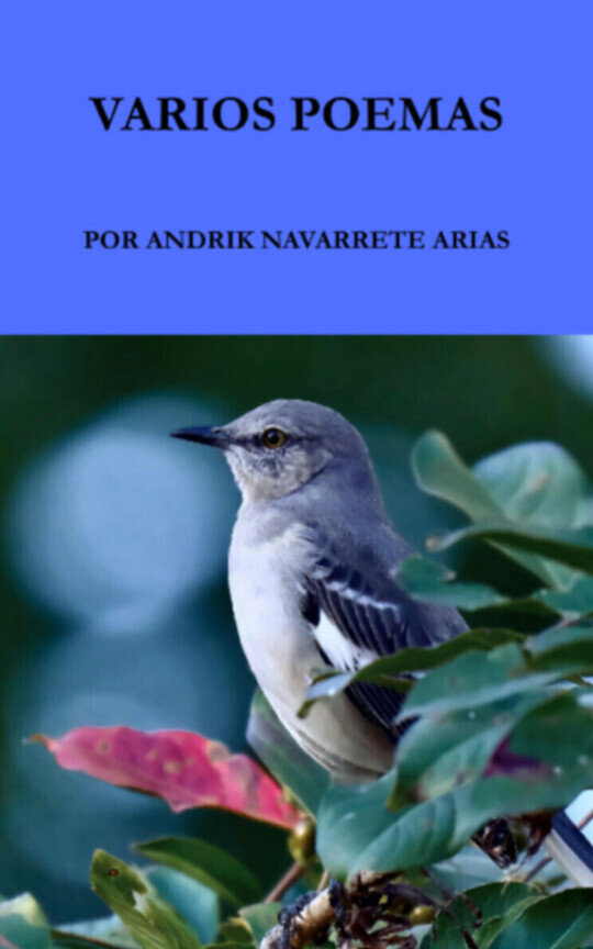 Varios poemas