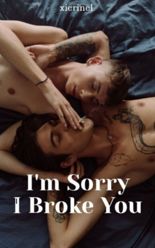 I'm Sorry I Broke You