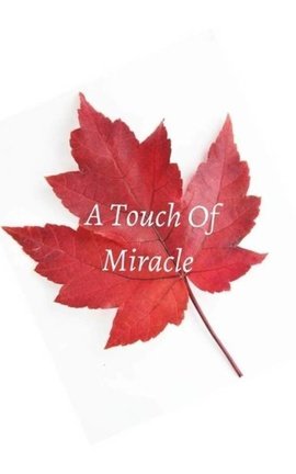 A Touch Of Miracle 