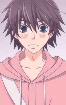 Nueva vida- Misaki Junjō Romantica y Viewfinder