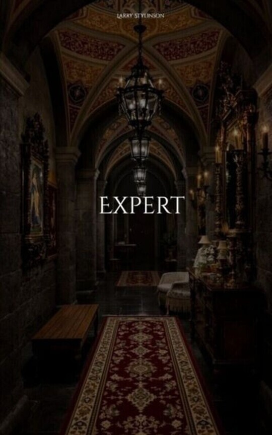 Expert (Libro 04) | Larry Stylinson