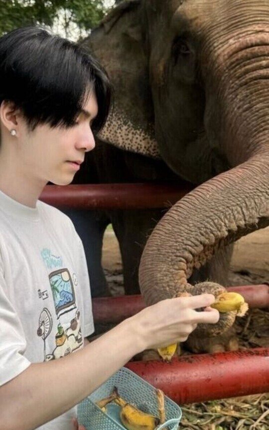 🐘