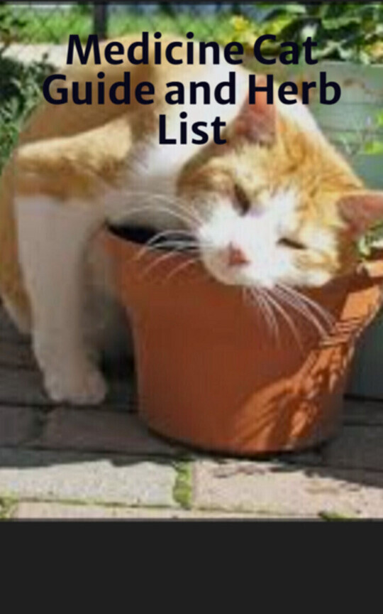 Medicine Cat Guide and Herb List