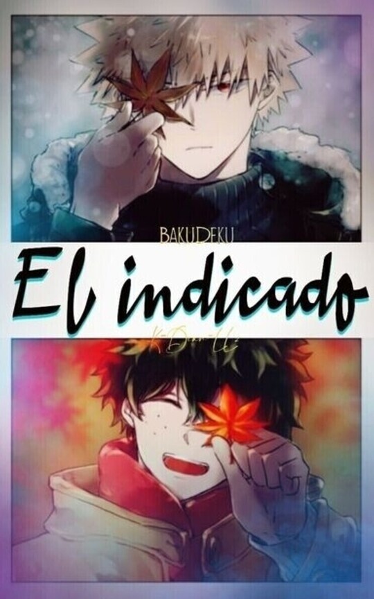 El indicado.