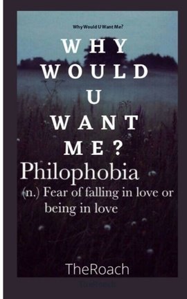 Why Would U Want Me?