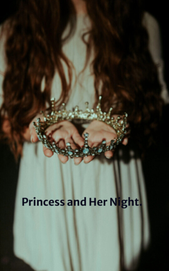 Princess and Her Night.