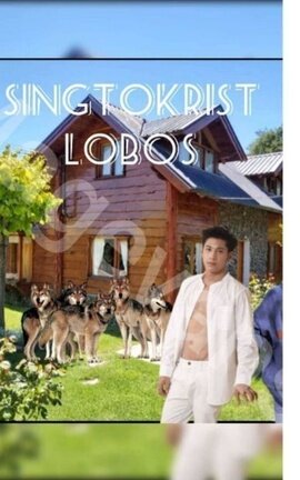 4. SingtoKrist. Lobos