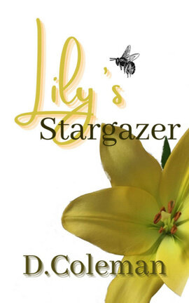 Lily's Stargazer 