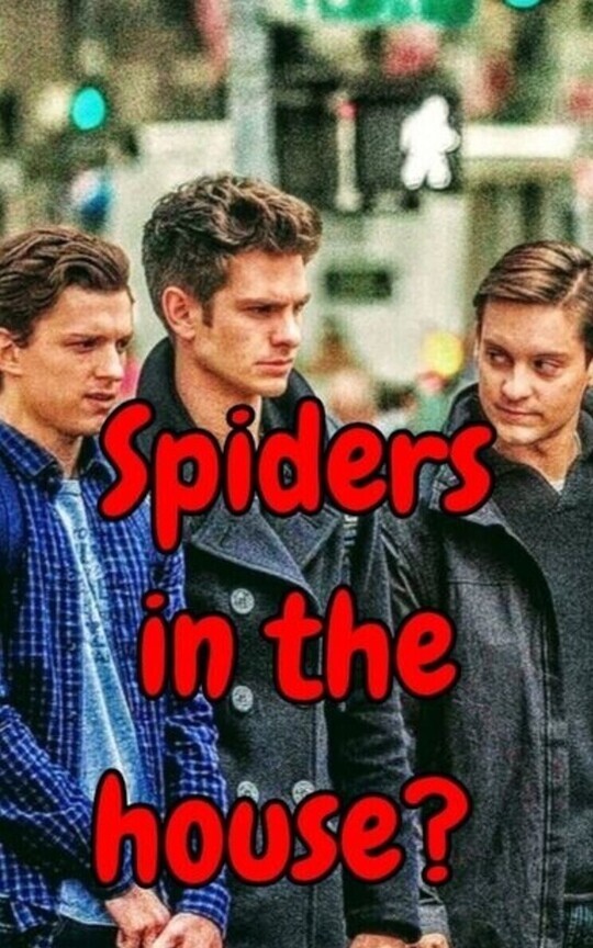 Spiders in the house?