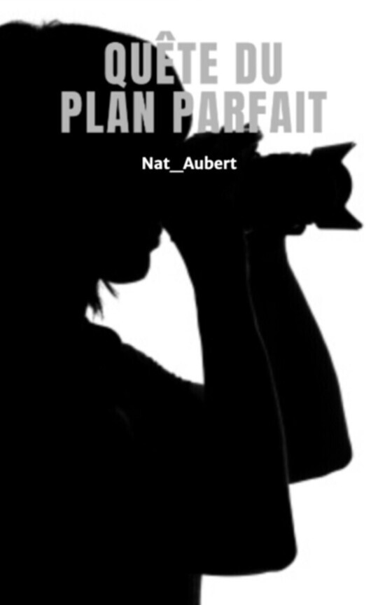 Quête du plan parfait