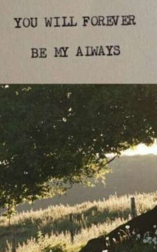 Gentle Heart, Immortal Souls ~ TVD FF