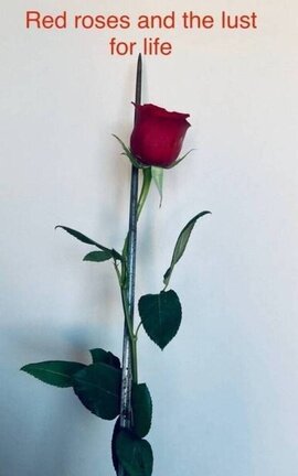 Red roses and the lust for life