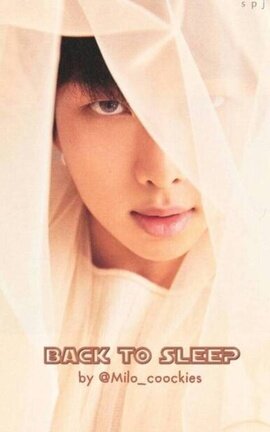 BACK TO SLEEP • [JINNAM