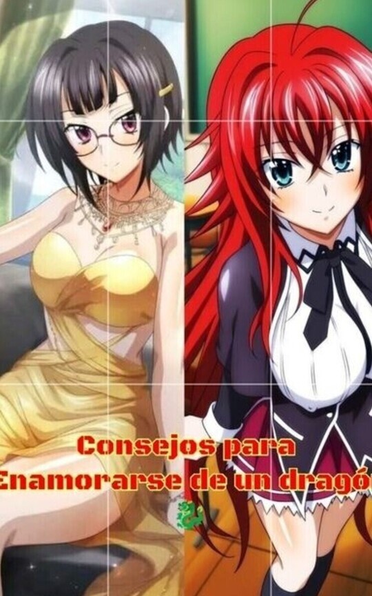 Cómo enamorarse de un dragón