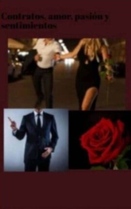 Contrato Y Amor