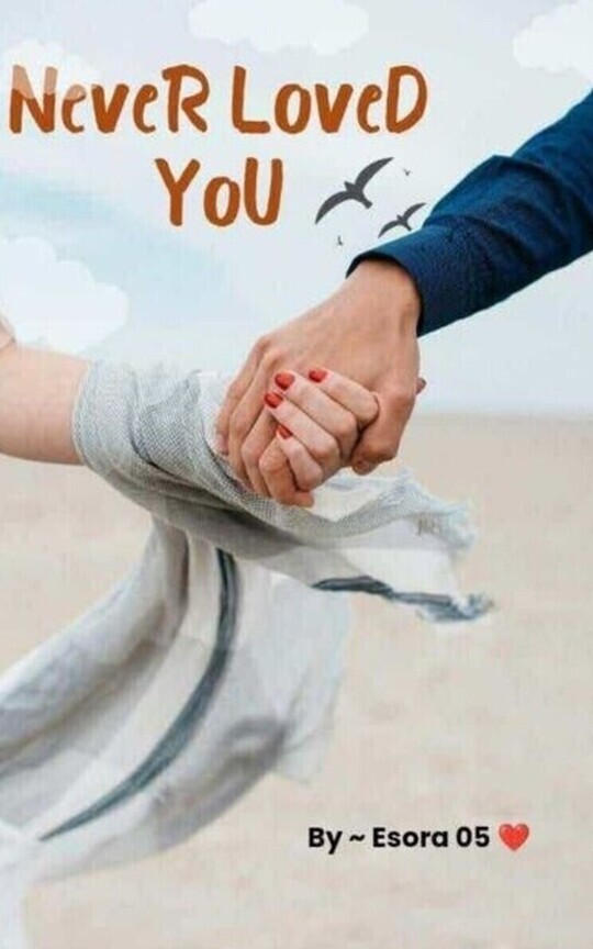 Never Loved You 