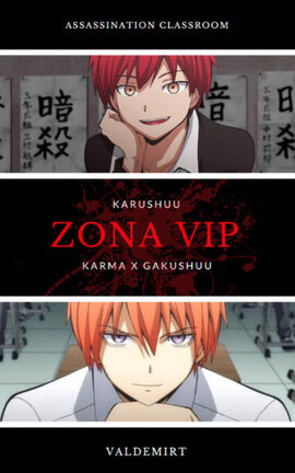 Zona VIP