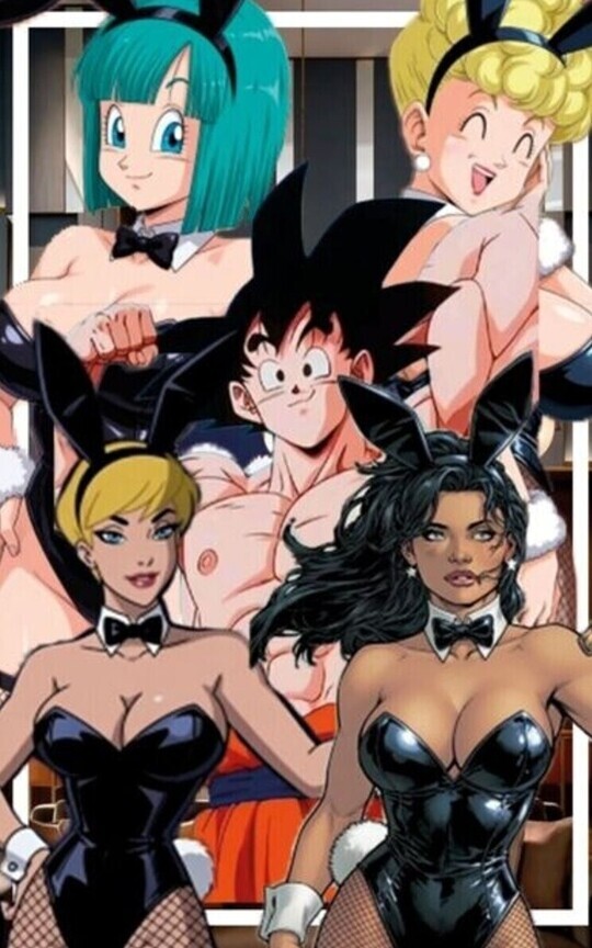 Noche en el Hotel del Amor (Goku x Harem).