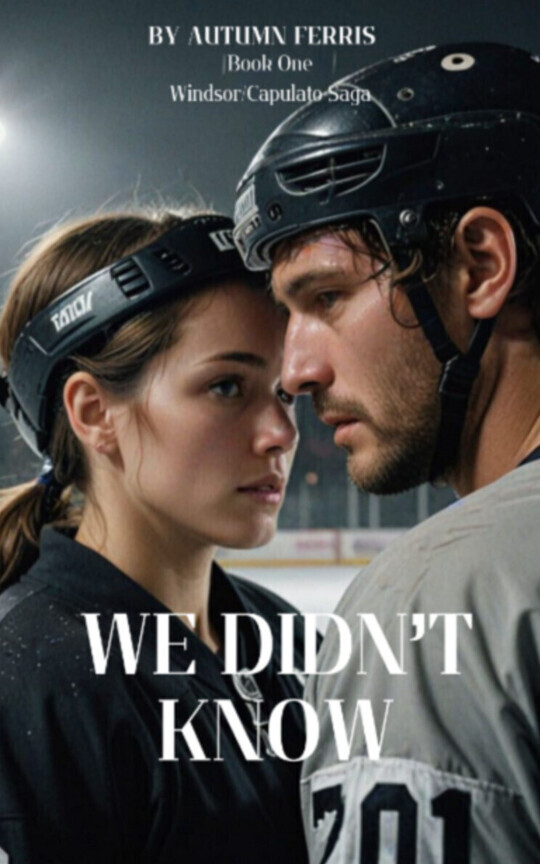 We Didn't Know (Book 1) Excerpt only full version on Galatea