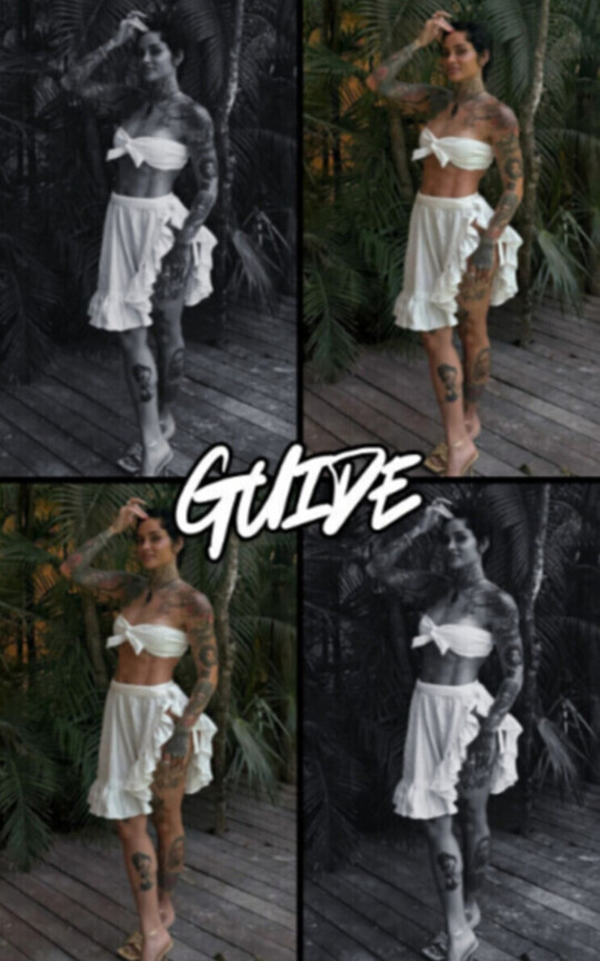 Guide
