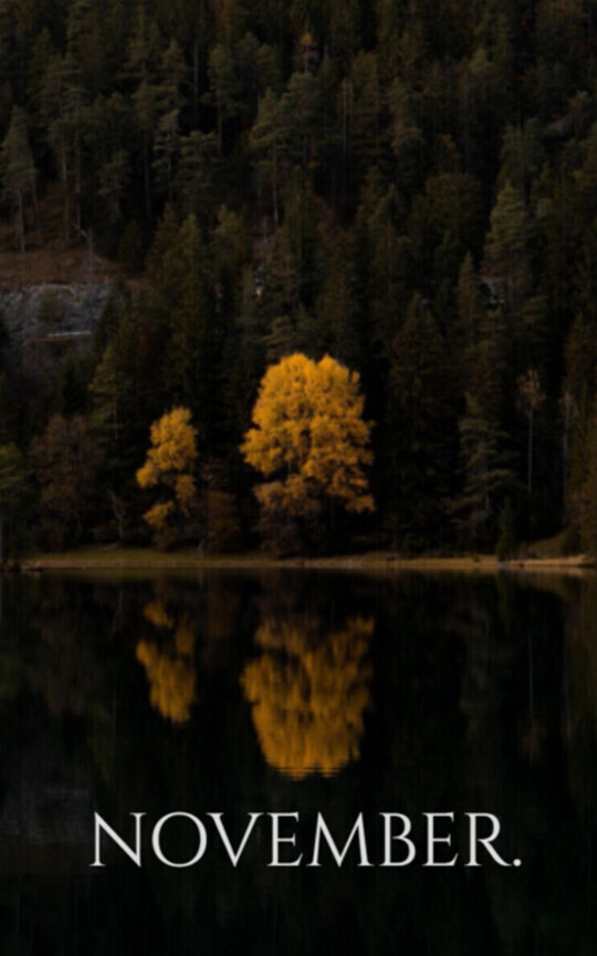 NOVEMBER.