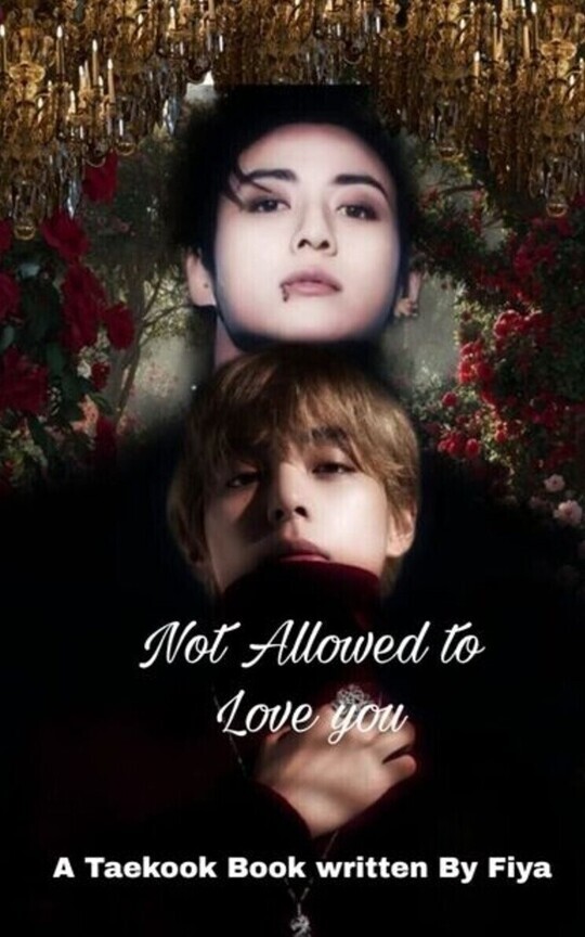 Not Allowed To Love You | Taekook