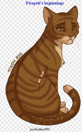Firepelt's beginnings