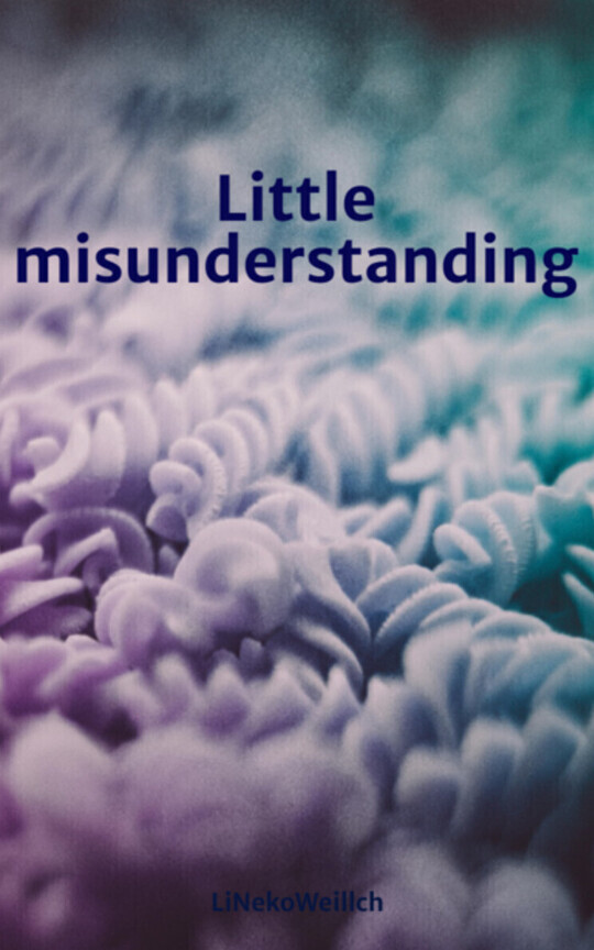 Little misunderstanding