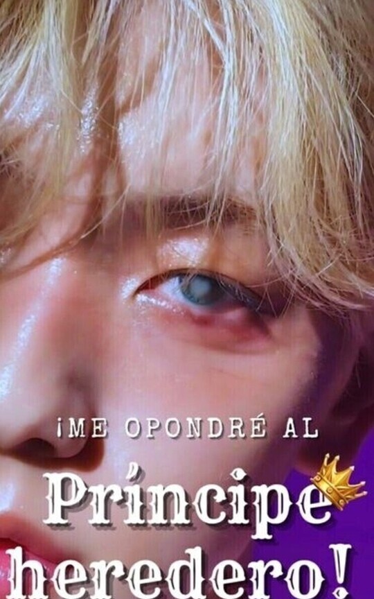 ¡Me opondré al príncipe heredero! ♔ sookai