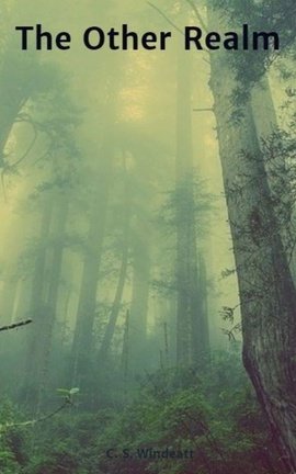 The Other Realm