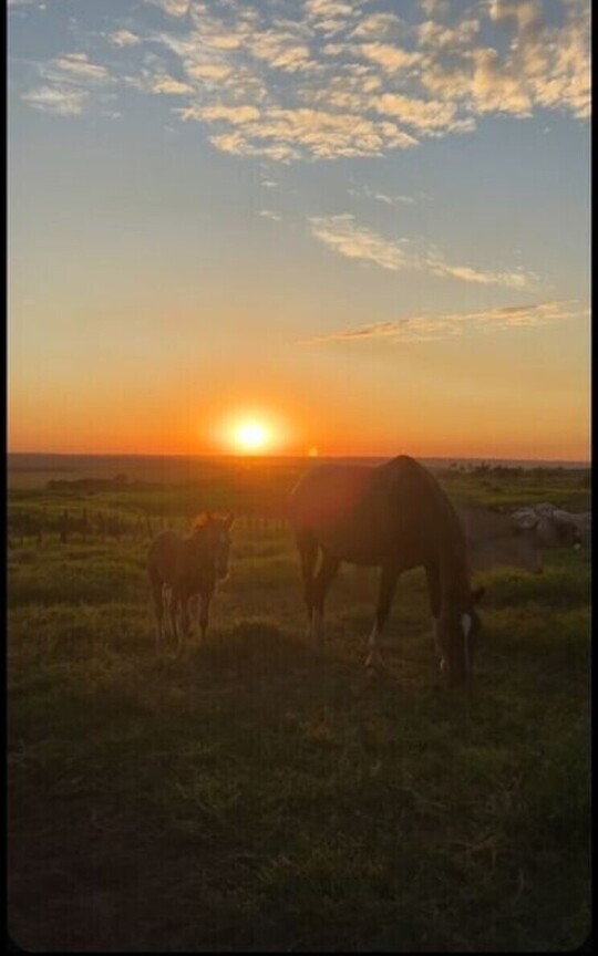 Bajo El Cielo Del Rancho 
