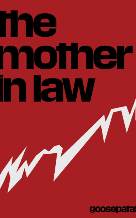 The Mother In Law